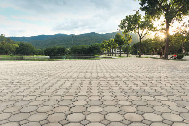 Best Local Driveway Pavers  in Pomona Park, FL