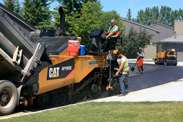 Best Local Driveway Pavers  in Pomona Park, FL